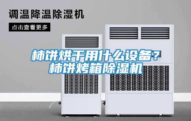柿餅烘干用什么設(shè)備？柿餅烤箱除濕機(jī)
