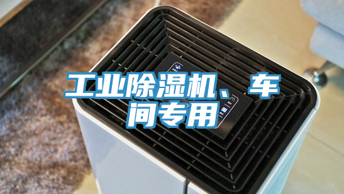工業(yè)除濕機、車間專用