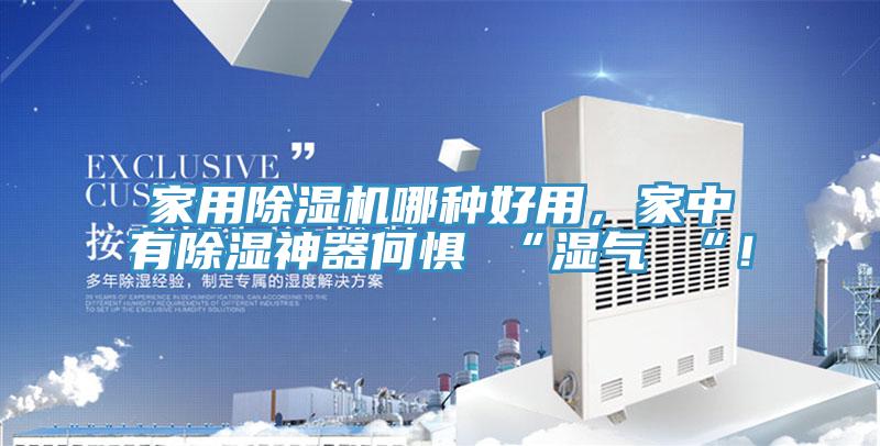 家用除濕機(jī)哪種好用，家中有除濕神器何懼 “濕氣 “！