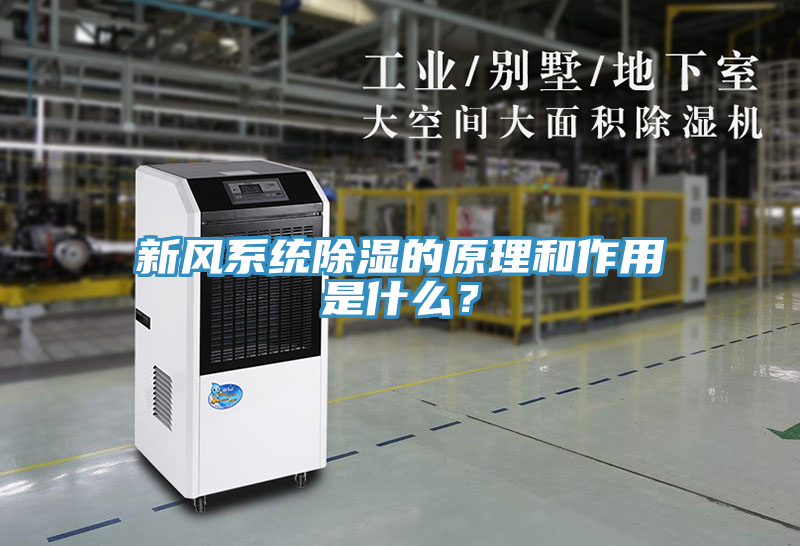 新風(fēng)系統(tǒng)除濕的原理和作用是什么？