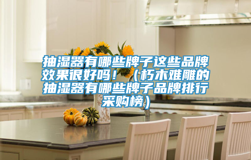 抽濕器有哪些牌子這些品牌效果很好嗎?。ㄐ嗄倦y雕的抽濕器有哪些牌子品牌排行采購(gòu)榜）