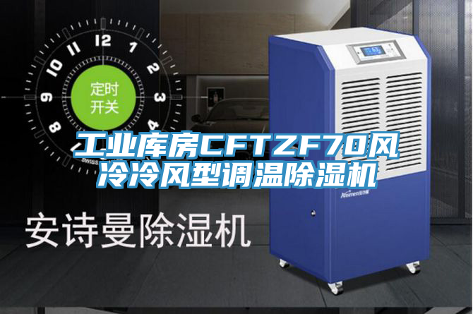 工業(yè)庫房CFTZF70風冷冷風型調溫除濕機