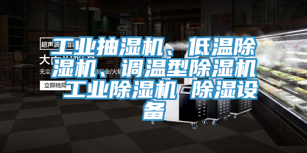 工業(yè)抽濕機、低溫除濕機、調(diào)溫型除濕機 工業(yè)除濕機 除濕設(shè)備