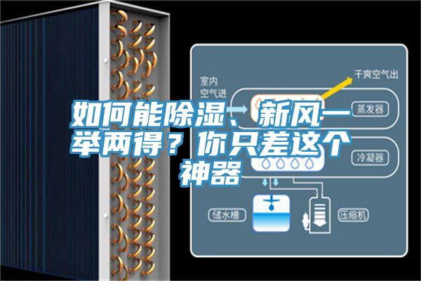 如何能除濕、新風(fēng)一舉兩得？你只差這個(gè)神器
