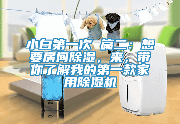 小白第一次 篇二：想要房間除濕，來，帶你了解我的第一款家用除濕機(jī)