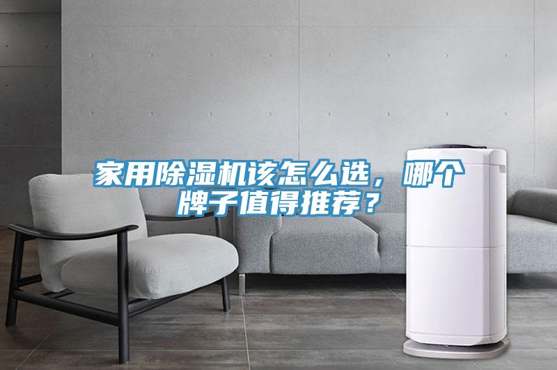家用除濕機(jī)該怎么選，哪個(gè)牌子值得推薦？