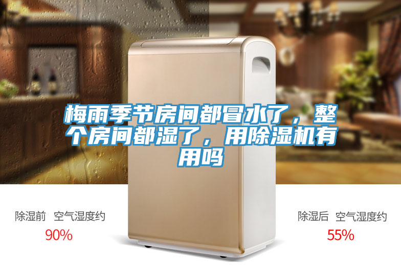 梅雨季節(jié)房間都冒水了，整個(gè)房間都濕了，用除濕機(jī)有用嗎