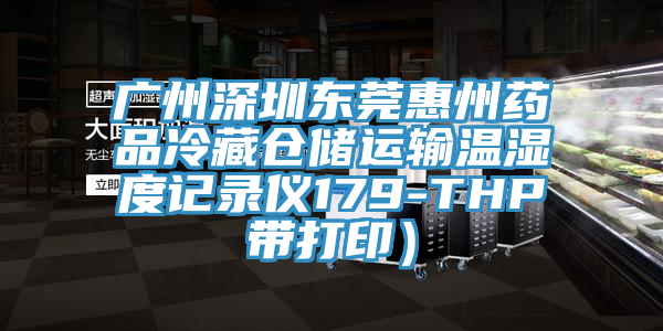 廣州深圳東莞惠州藥品冷藏倉儲運(yùn)輸溫濕度記錄儀179-THP帶打印）