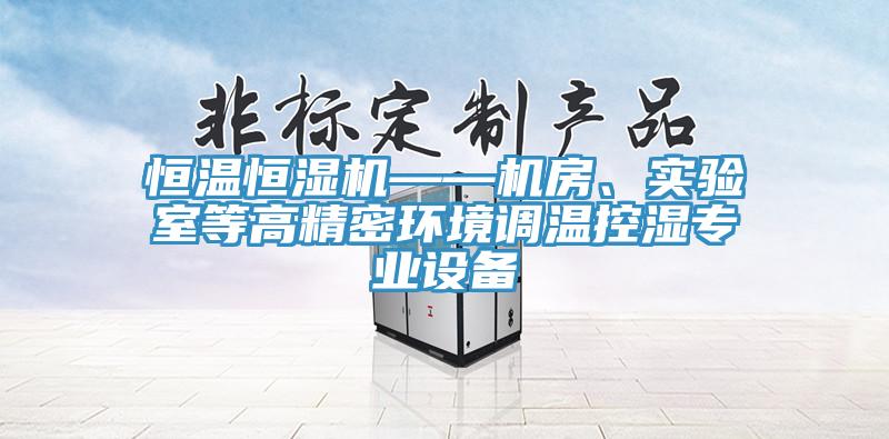 恒溫恒濕機(jī)——機(jī)房、實(shí)驗(yàn)室等高精密環(huán)境調(diào)溫控濕專業(yè)設(shè)備