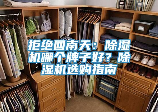 拒絕回南天：除濕機哪個牌子好？除濕機選購指南