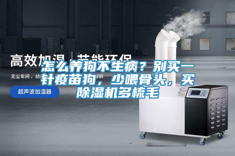 怎么養(yǎng)狗不生病？別買(mǎi)一針疫苗狗，少喂骨頭，買(mǎi)除濕機(jī)多梳毛