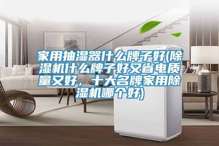 家用抽濕器什么牌子好(除濕機(jī)什么牌子好又省電質(zhì)量又好，十大名牌家用除濕機(jī)哪個(gè)好)