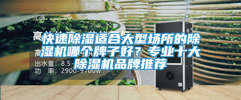 快速除濕適合大型場(chǎng)所的除濕機(jī)哪個(gè)牌子好？專業(yè)十大除濕機(jī)品牌推薦