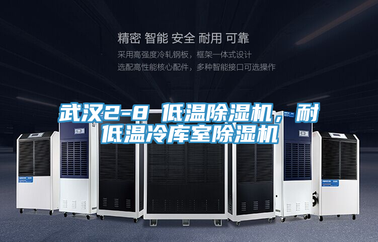 武漢2-8℃低溫除濕機(jī)，耐低溫冷庫室除濕機(jī)