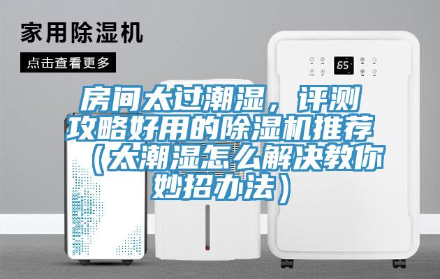 房間太過潮濕，評測攻略好用的除濕機(jī)推薦（太潮濕怎么解決教你妙招辦法）