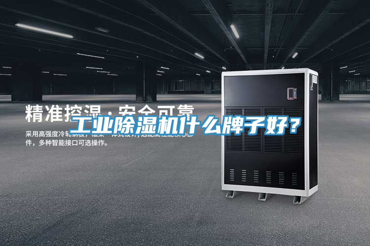 工業(yè)除濕機(jī)什么牌子好？