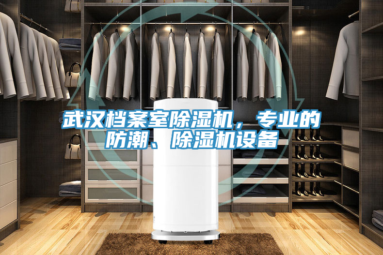 武漢檔案室除濕機(jī)，專業(yè)的防潮、除濕機(jī)設(shè)備