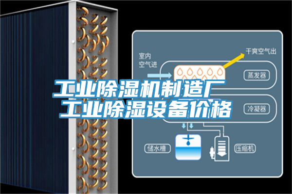 工業(yè)除濕機制造廠 工業(yè)除濕設備價格
