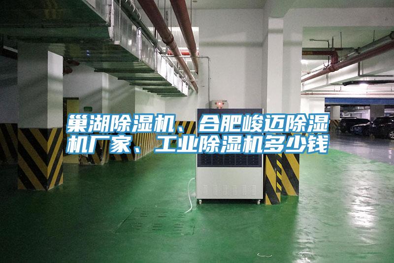巢湖除濕機(jī)、合肥峻邁除濕機(jī)廠家、工業(yè)除濕機(jī)多少錢