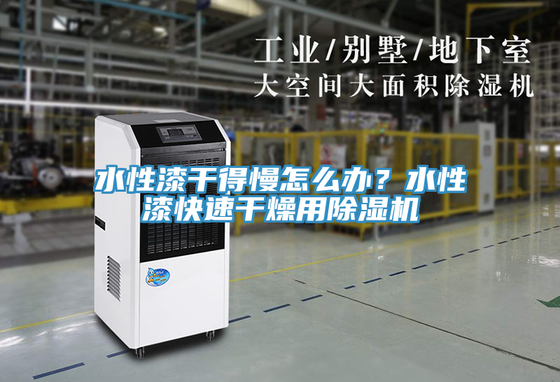 水性漆干得慢怎么辦？水性漆快速干燥用除濕機(jī)