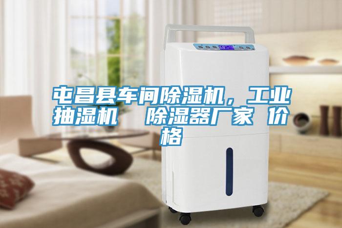 屯昌縣車間除濕機(jī)，工業(yè)抽濕機(jī)  除濕器廠家 價(jià)格
