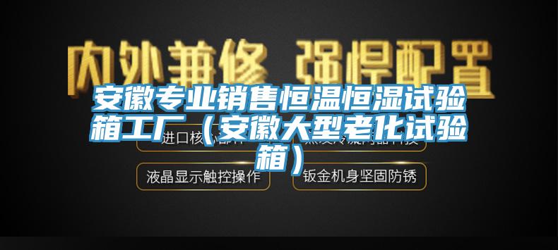 安徽專(zhuān)業(yè)銷(xiāo)售恒溫恒濕試驗(yàn)箱工廠（安徽大型老化試驗(yàn)箱）