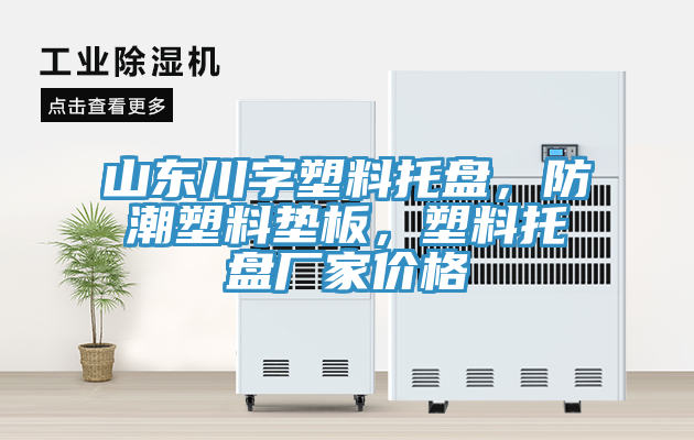 山東川字塑料托盤，防潮塑料墊板，塑料托盤廠家價格