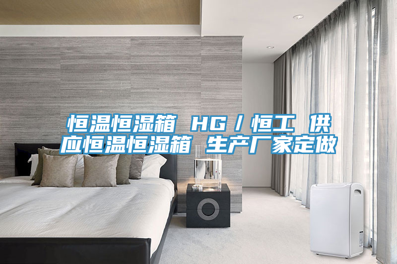 恒溫恒濕箱 HG／恒工 供應恒溫恒濕箱 生產(chǎn)廠家定做