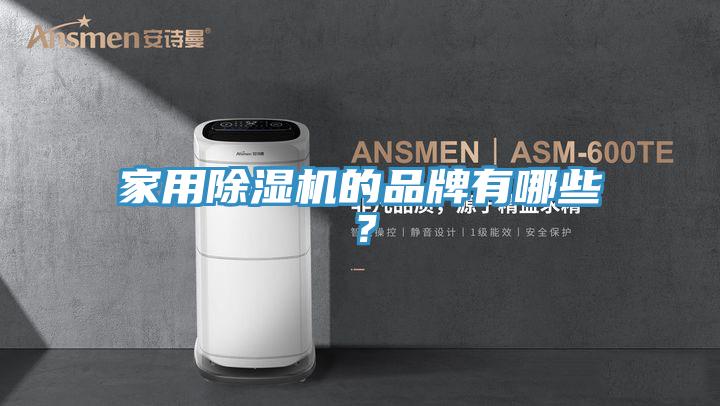 家用除濕機的品牌有哪些？