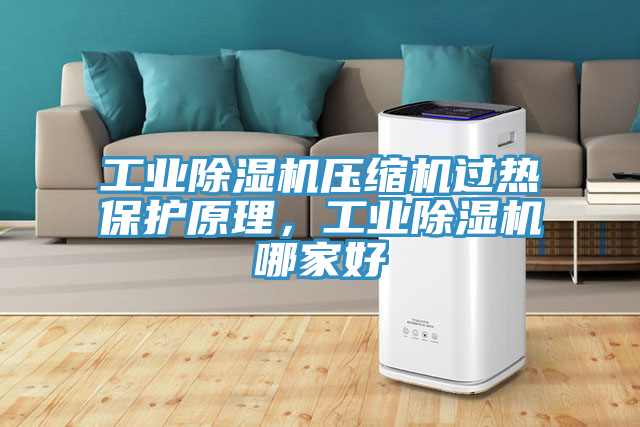工業(yè)除濕機(jī)壓縮機(jī)過熱保護(hù)原理，工業(yè)除濕機(jī)哪家好