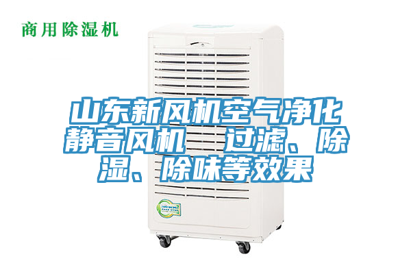 山東新風(fēng)機(jī)空氣凈化靜音風(fēng)機(jī)  過濾、除濕、除味等效果