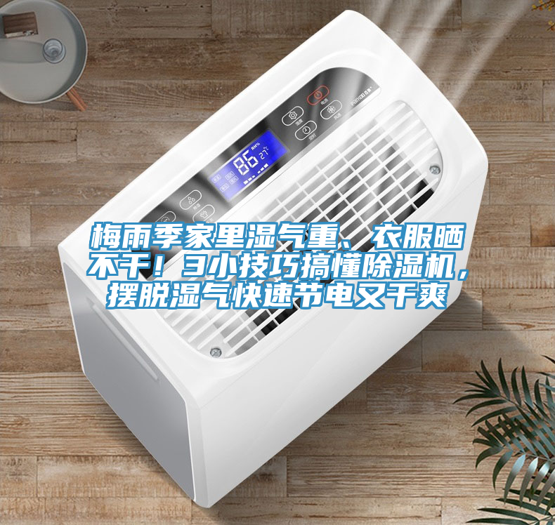 梅雨季家里濕氣重、衣服曬不干！3小技巧搞懂除濕機(jī)，擺脫濕氣快速節(jié)電又干爽