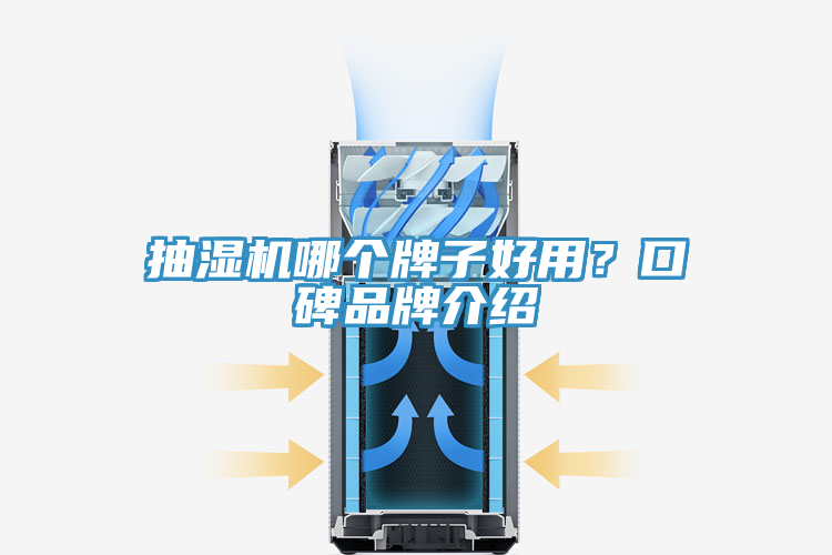 抽濕機哪個牌子好用？口碑品牌介紹