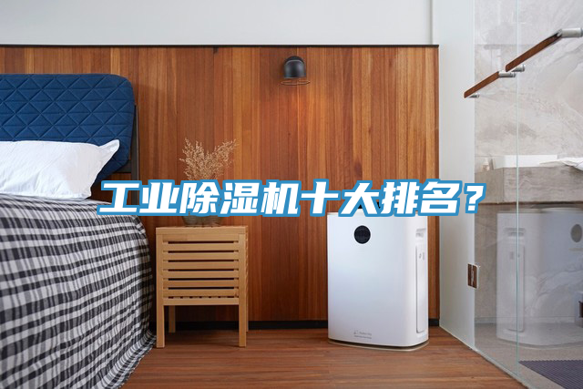 工業(yè)除濕機(jī)十大排名？