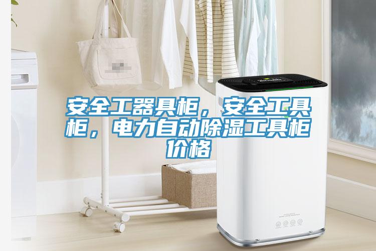 安全工器具柜，安全工具柜，電力自動除濕工具柜價格