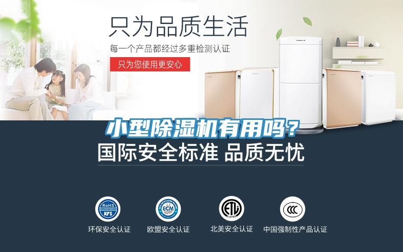 小型除濕機有用嗎？