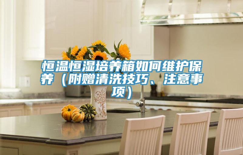 恒溫恒濕培養(yǎng)箱如何維護(hù)保養(yǎng)（附贈(zèng)清洗技巧、注意事項(xiàng)）