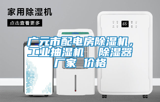 廣元市配電房除濕機(jī)，工業(yè)抽濕機(jī)  除濕器廠家 價格