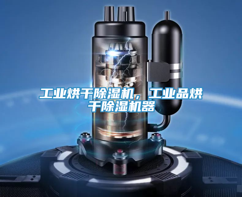 工業(yè)烘干除濕機，工業(yè)品烘干除濕機器