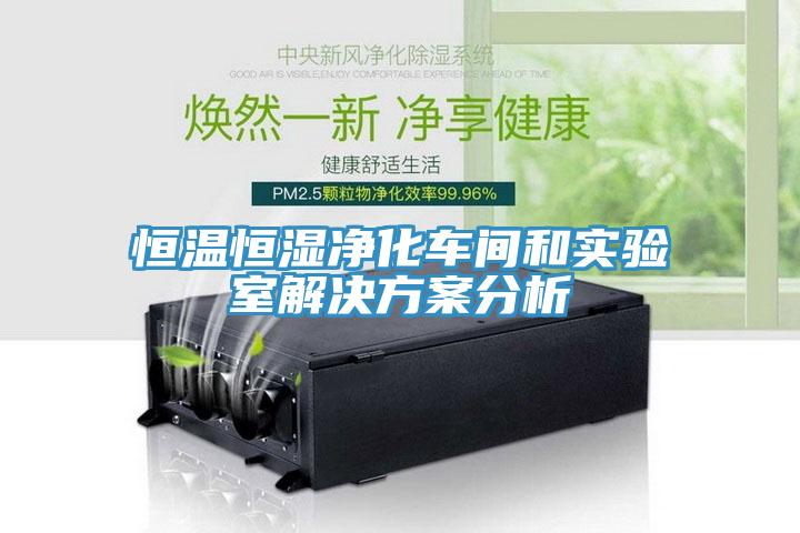 恒溫恒濕凈化車(chē)間和實(shí)驗(yàn)室解決方案分析