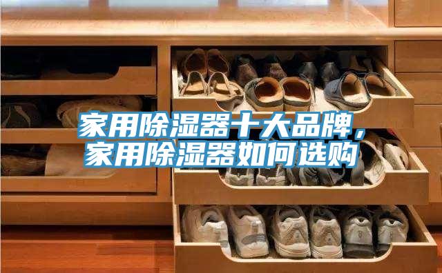 家用除濕器十大品牌，家用除濕器如何選購