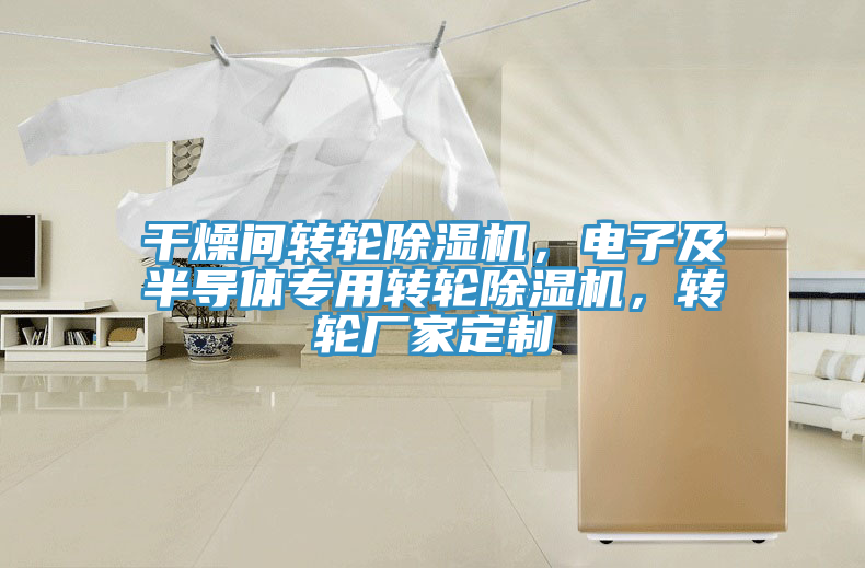 干燥間轉(zhuǎn)輪除濕機，電子及半導體專用轉(zhuǎn)輪除濕機，轉(zhuǎn)輪廠家定制