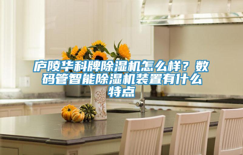 廬陵華科牌除濕機(jī)怎么樣？數(shù)碼管智能除濕機(jī)裝置有什么特點(diǎn)