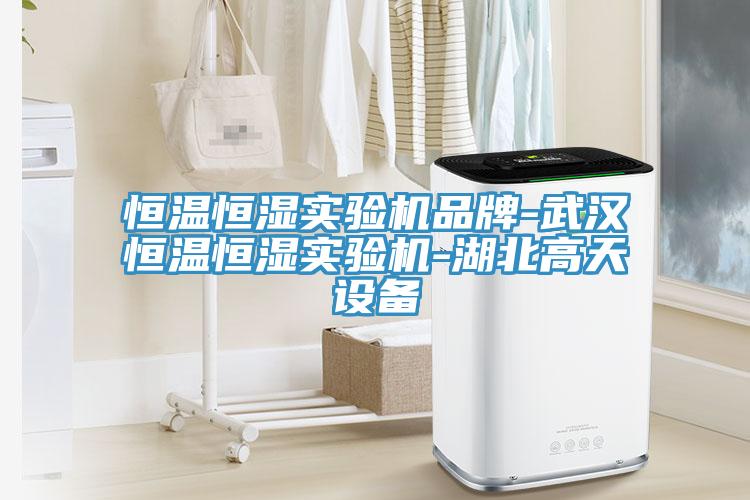 恒溫恒濕實驗機(jī)品牌-武漢恒溫恒濕實驗機(jī)-湖北高天設(shè)備