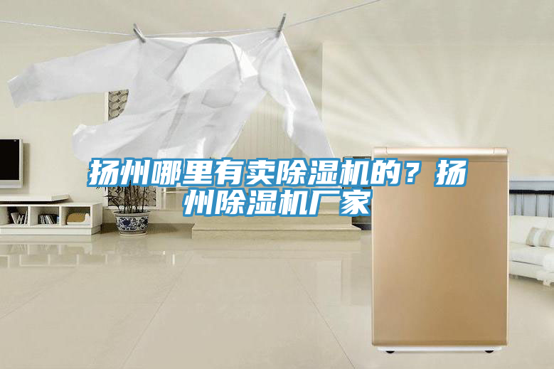 揚州哪里有賣除濕機的？揚州除濕機廠家