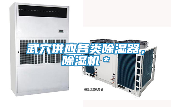 武穴供應各類除濕器，除濕機＊