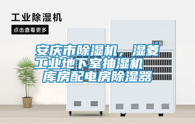 安慶市除濕機(jī)，濕菱工業(yè)地下室抽濕機(jī)  庫(kù)房配電房除濕器