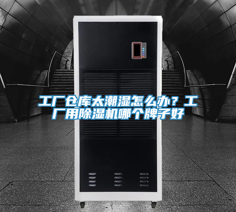 工廠倉(cāng)庫(kù)太潮濕怎么辦？工廠用除濕機(jī)哪個(gè)牌子好