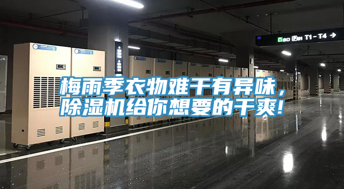 梅雨季衣物難干有異味，除濕機(jī)給你想要的干爽!