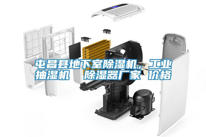 屯昌縣地下室除濕機(jī)，工業(yè)抽濕機(jī)  除濕器廠家 價(jià)格